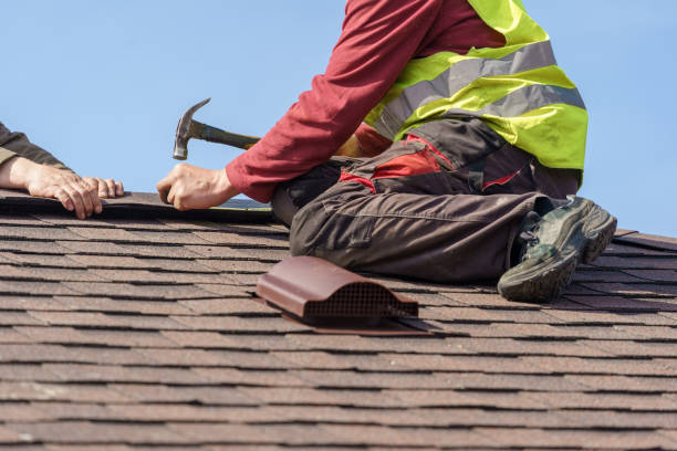 Best Local Roofing Companies  in Burton, SC