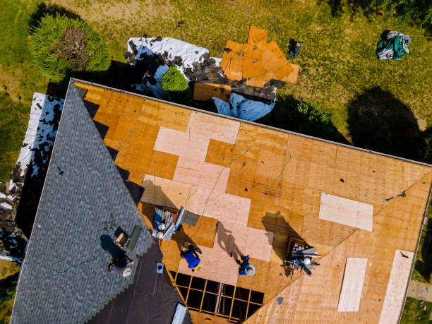Best Residential Roof Replacement  in Burton, SC