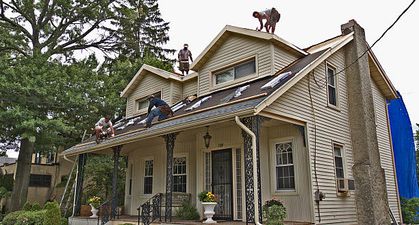 Best Gutter Installation and Roofing  in Burton, SC